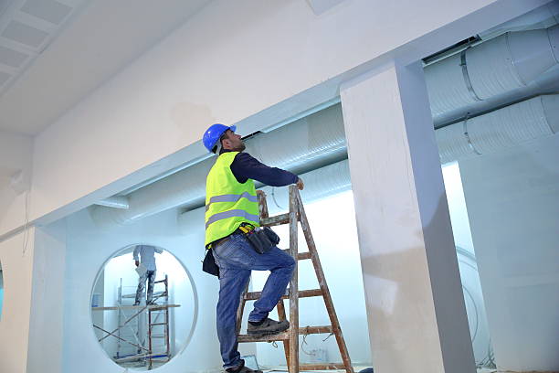 Best Crawl Space Mold Remediation  in Newton, TX